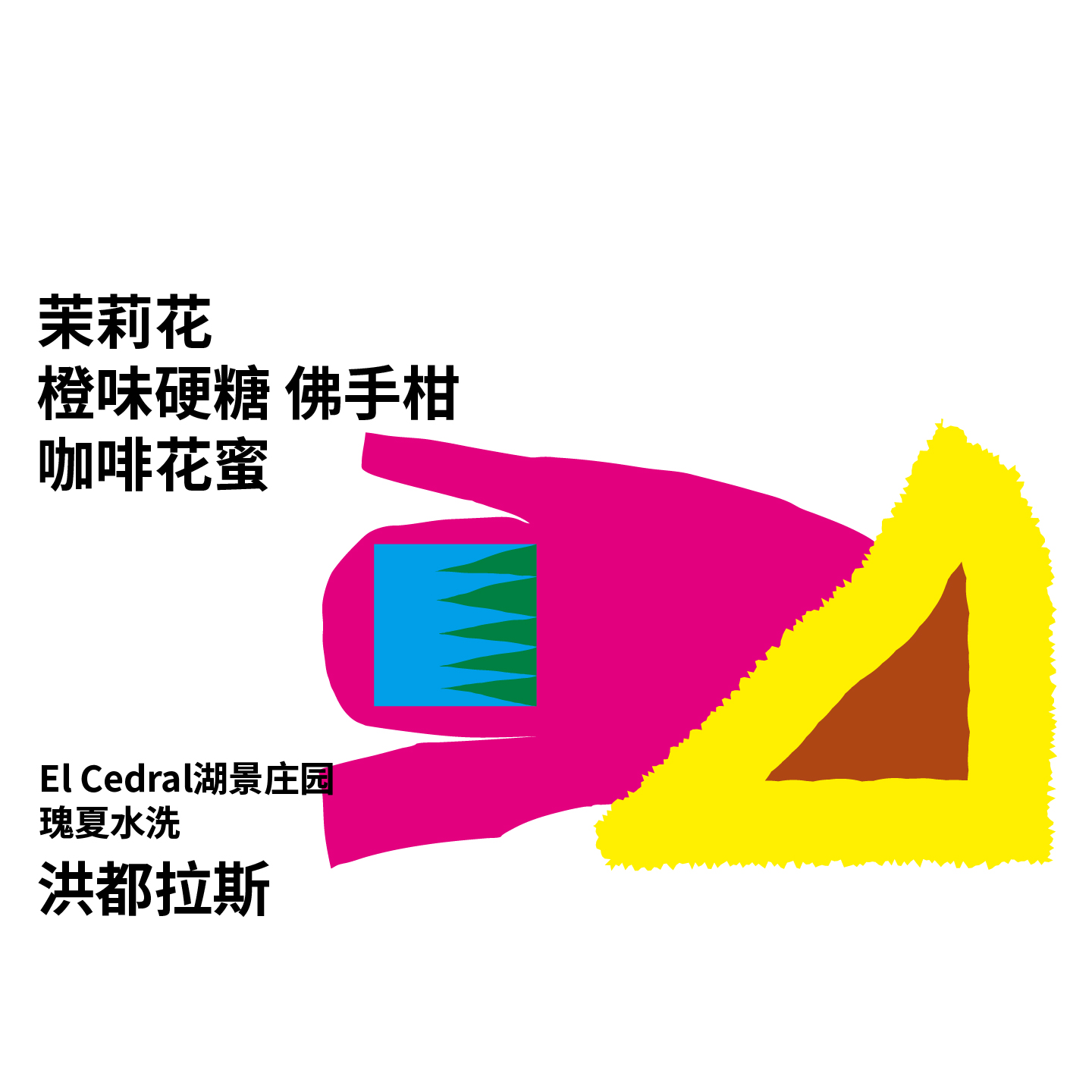 治光师洪都拉斯瑰夏咖啡豆