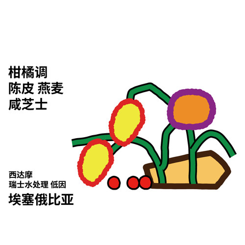 治光师埃塞西达摩低因手冲咖啡豆