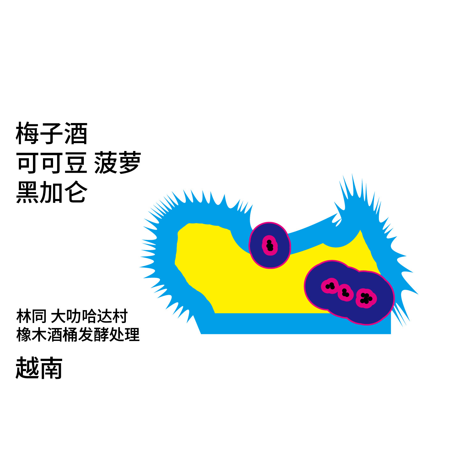 Back系列 越南 梅子酒|菠萝 橡木酒桶发酵处理 手冲咖啡豆