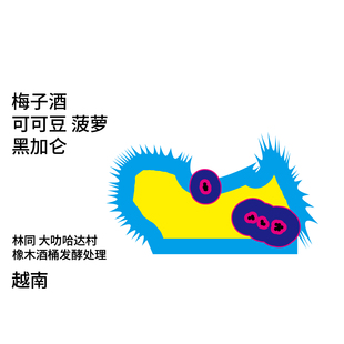 橡木酒桶发酵处理 Back系列 菠萝 梅子酒 手冲咖啡豆 越南