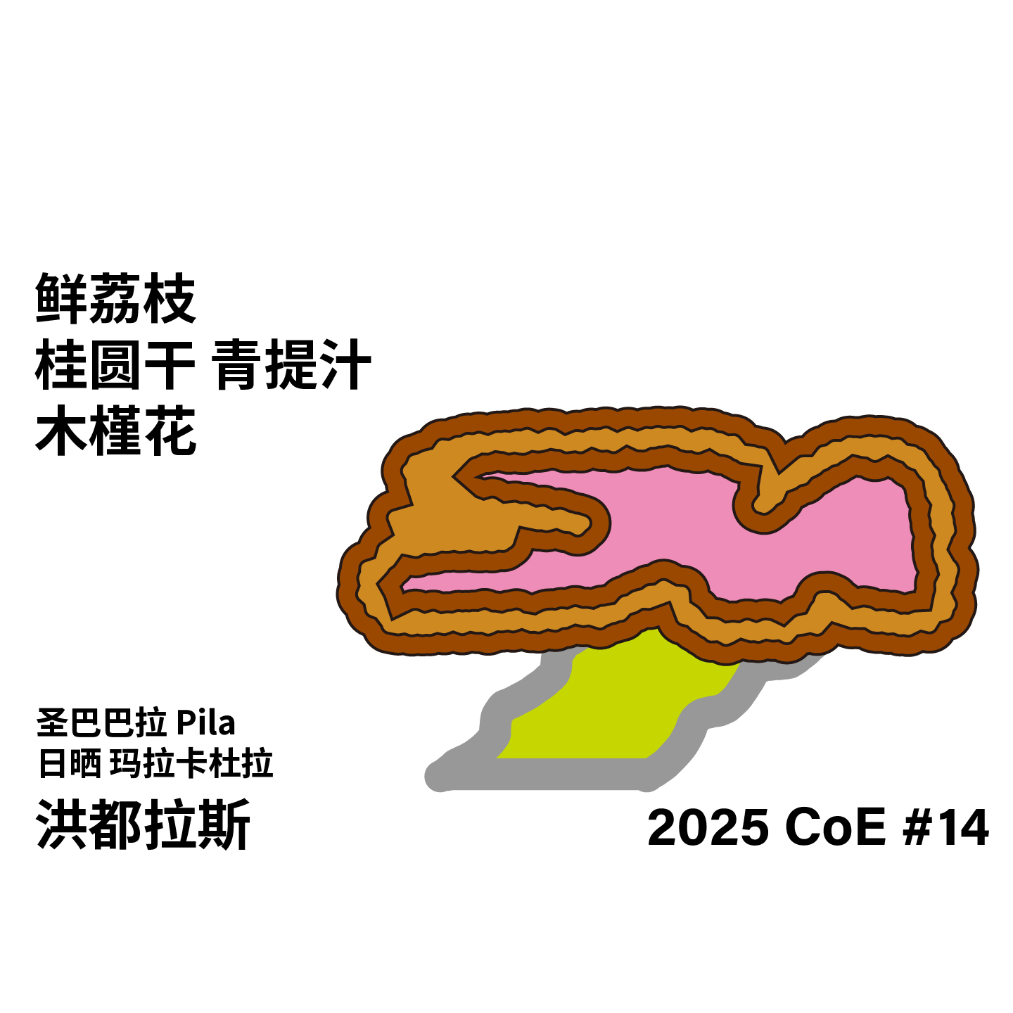 治光师CoE#14玛拉卡杜拉咖啡豆