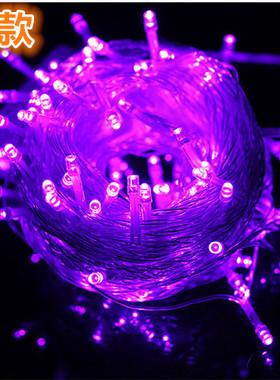 led彩灯紫色闪灯串灯户外防水led灯串圣诞灯满天星彩灯装饰灯包邮