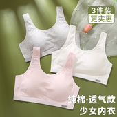 青春发育期少女内衣中学生纯棉文胸初中生高中运动薄款 小背心夏季