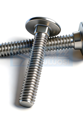 M6M8M10 DIN603 304不锈钢大头马车螺丝 半圆头方颈螺栓