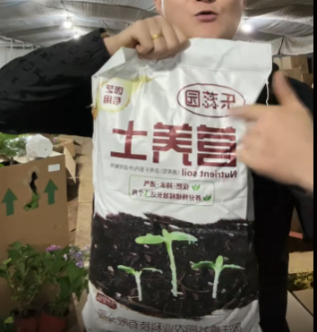 小严淘宝直播绿植花卉