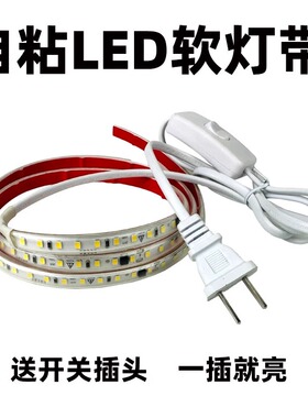 灯带220V超亮led灯带条自粘带开关插头吊顶床头明装货架灯条酒柜