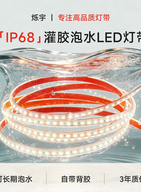 烁宇24v低压led灯带IP68实心灌胶防水户外专用台阶庭院水下泡水