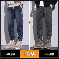 1801 Blue Grey+859 черно -серый (две части)