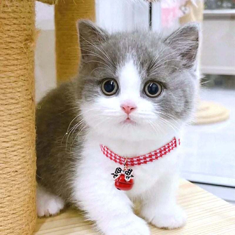 红格子可爱甜美方格猫咪装饰铃铛脖圈红铃铛田园风宠物狗装扮项圈