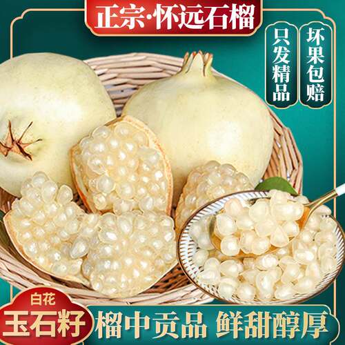 怀远白石榴白花玉石籽安徽特产