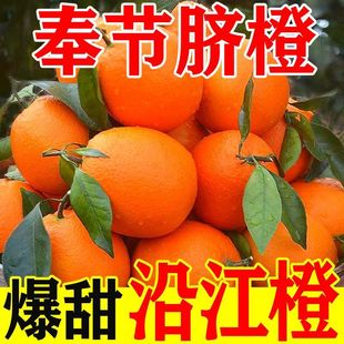 正宗重庆奉节脐橙旗舰店纽荷尔挤橙济橙新鲜10斤当季水果现摘橙子