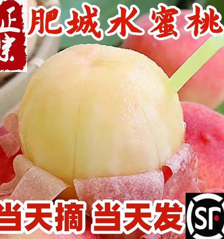 整箱脆甜脆桃水密桃毛桃
