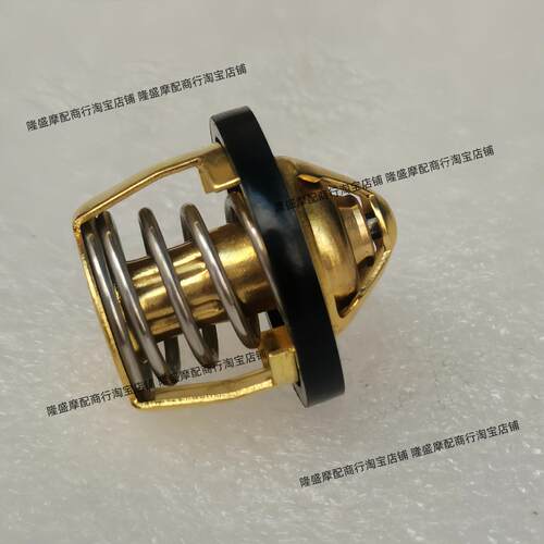 九妹Z300快乐骑士原装恒温器
