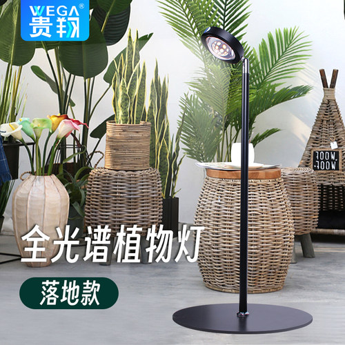 贵翔植物补光灯天南星科热植