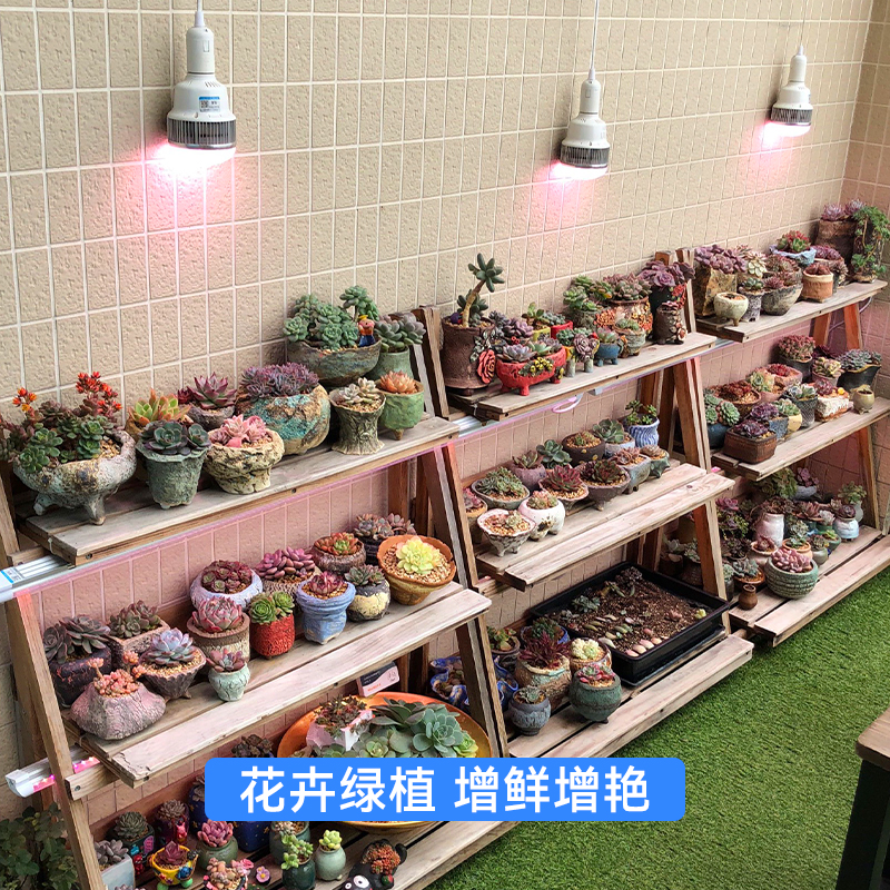 贵翔 全光谱LED多肉补光灯上色花卉植物生长灯室内仿太阳光家用