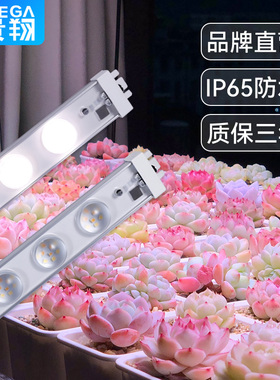 贵翔 防水多肉补光灯全光谱上色LED家用植物生长灯雨林缸食虫热植