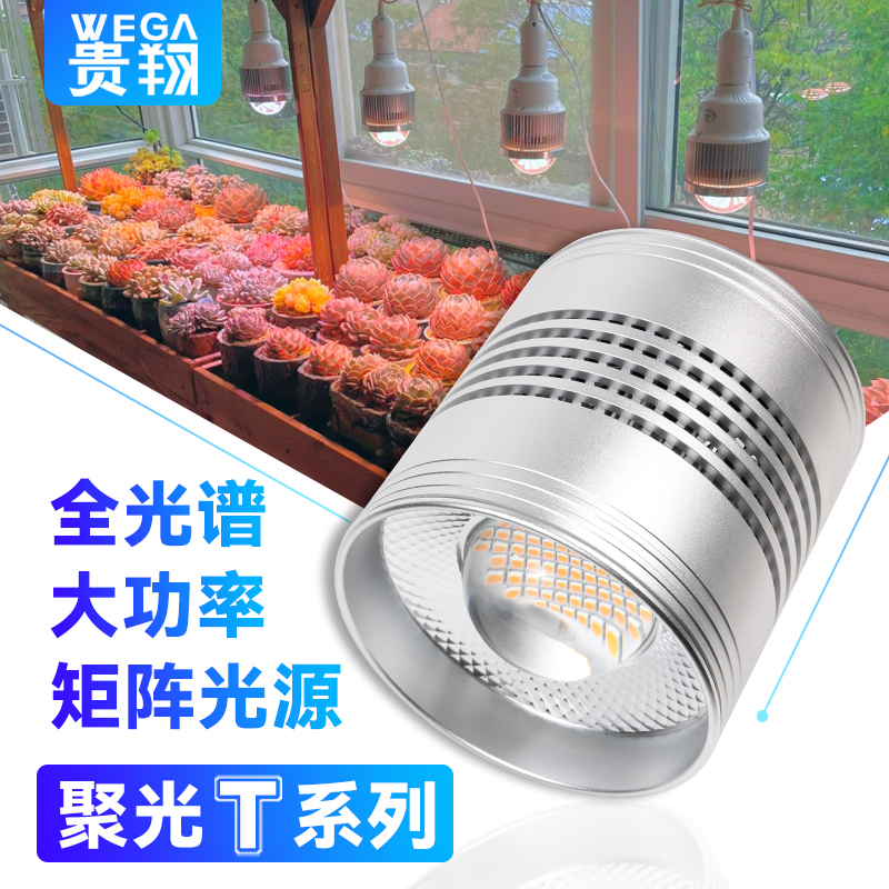 全光谱多肉补光灯上色更透