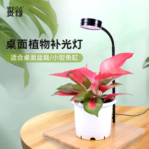 植物花卉台灯价格 植物花卉台灯图片 星期三