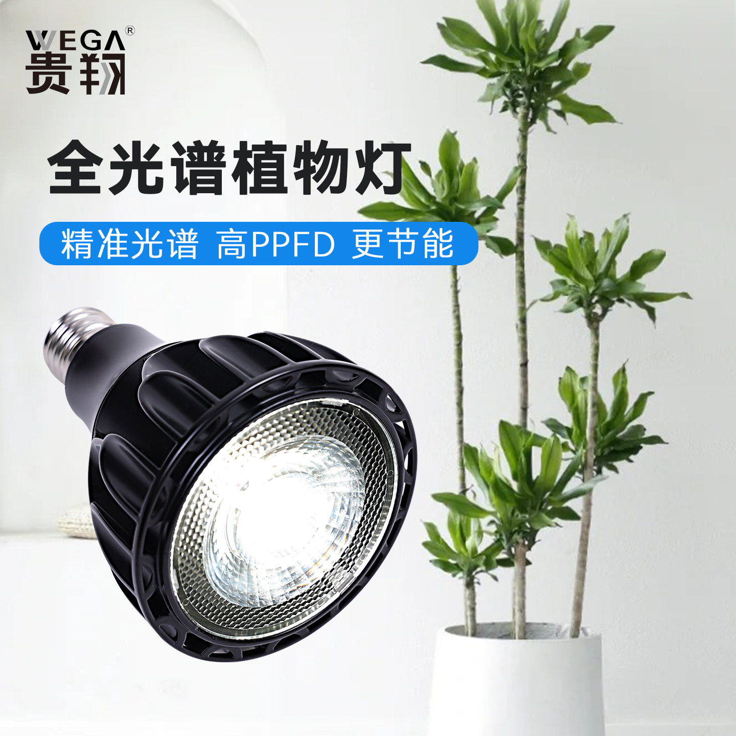 贵翔植物补光灯龙舌兰块根绿植图片