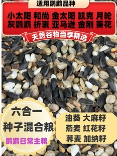 六合一冬季增肥混合种子粮小太阳金太阳和尚凯克中大型鹦鹉主粮