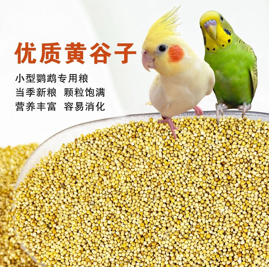 带壳黄谷子虎皮鹦鹉旋风牡丹文鸟等中小型鹦鹉专用鸟食,宠物/宠物食品及用品,鸟零食,淘宝优惠券,粉丝福利购,淘宝优惠卷