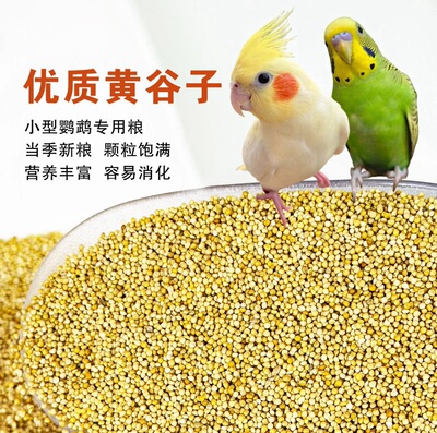 带壳黄谷子虎皮鹦鹉旋风牡丹文鸟等中小型鹦鹉专用鸟食