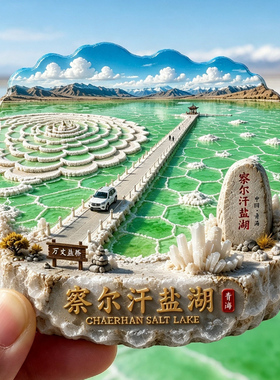 【察尔汗盐湖冰箱贴】青海文创文旅万丈盐桥公路盐花盐晶旅游打卡