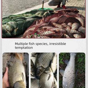 纯丁香油钓鱼专用公丁香酒中药三香油小药野钓鲫鱼冬季诱鱼开口剂