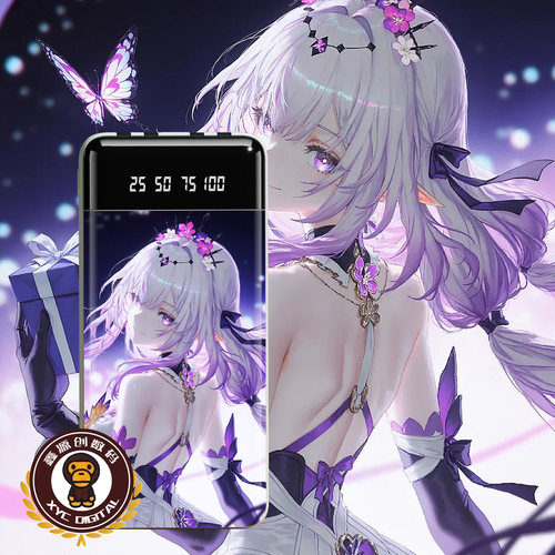 遐蝶充电宝20000毫安数显自带线