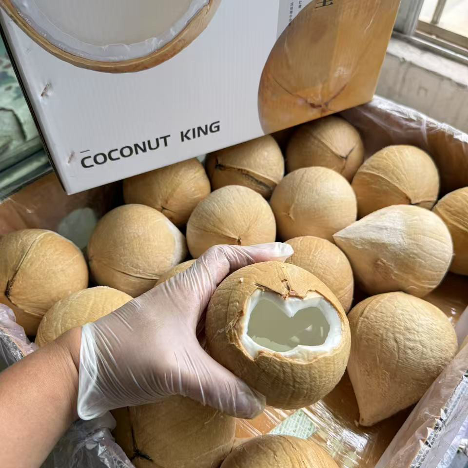 海南牛奶季白老椰子个装新鲜