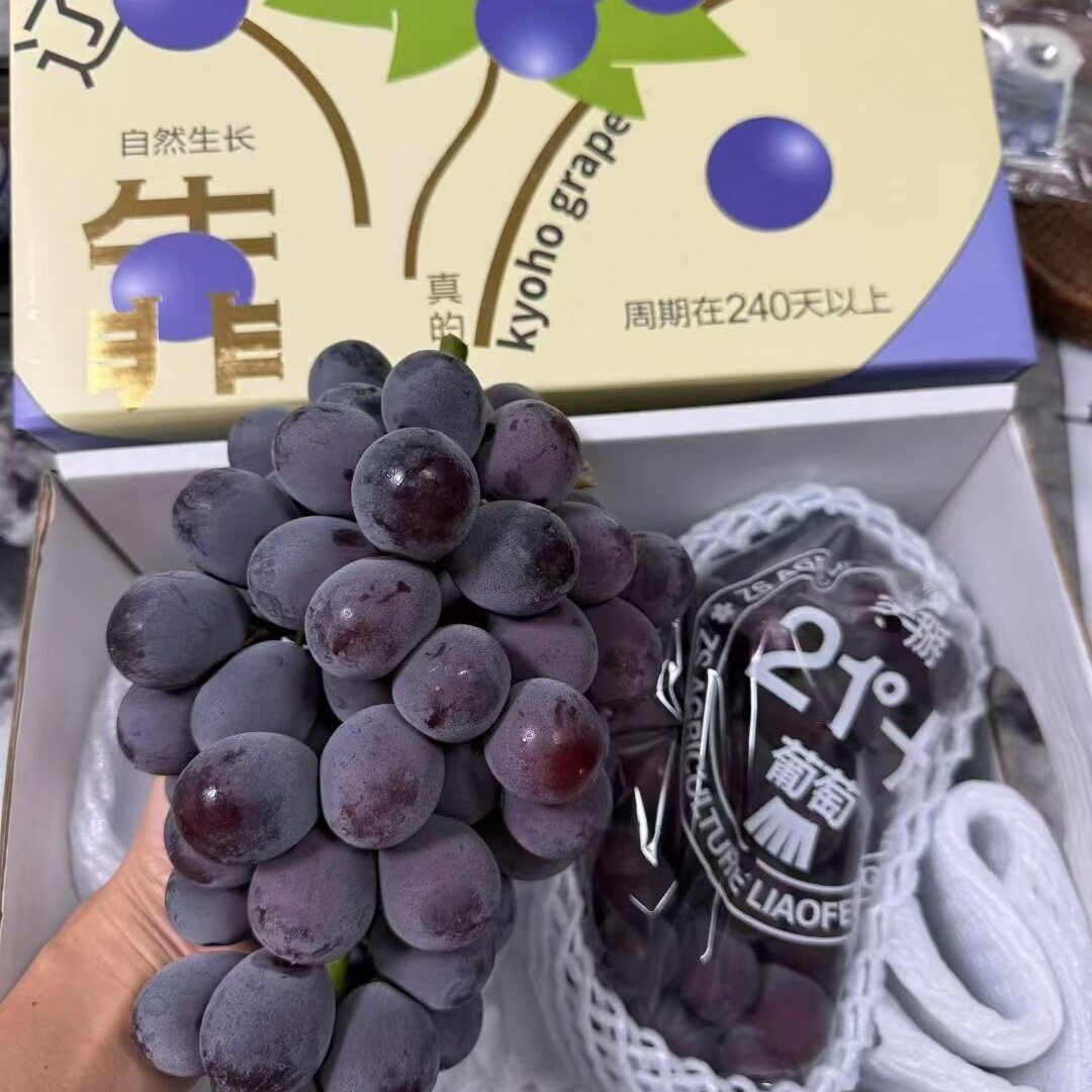 新鲜当季引进日本品种21度手掰葡萄纯甜味道浓郁