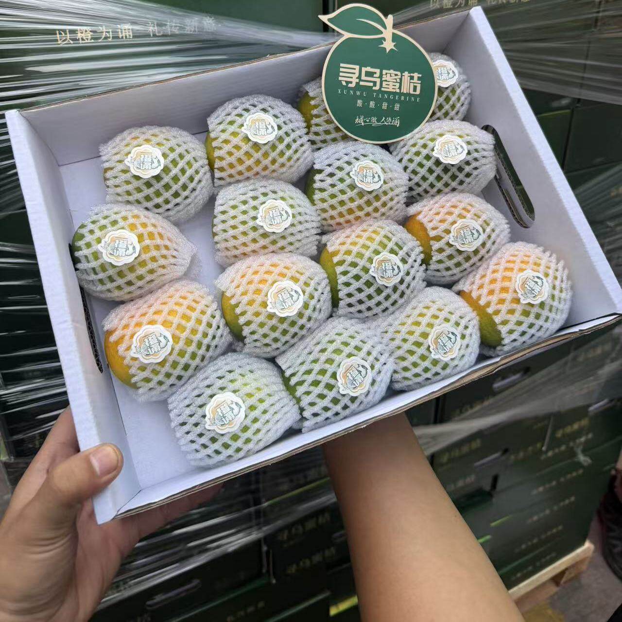 寻乌蜜桔新鲜蜜橘礼盒 橙诵当季现摘皮薄多汁酸甜桔子