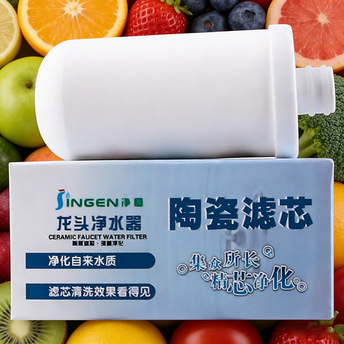 净恩净水器滤芯陶瓷硅藻泥18