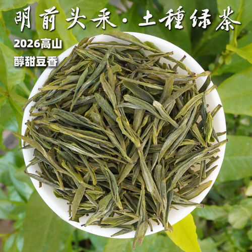2026明前头采土种绿茶