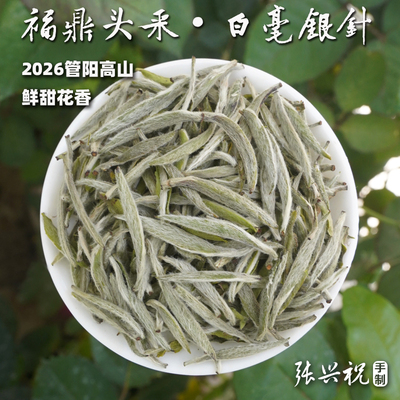2026福鼎头采白毫银针