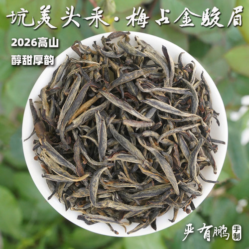 2026坑美头采梅占金骏眉