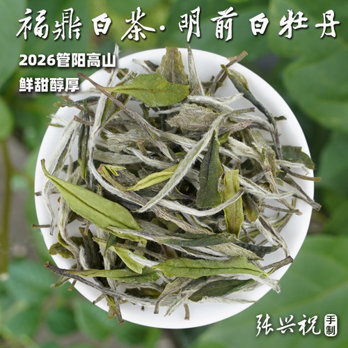 2026福鼎管阳高山白牡丹