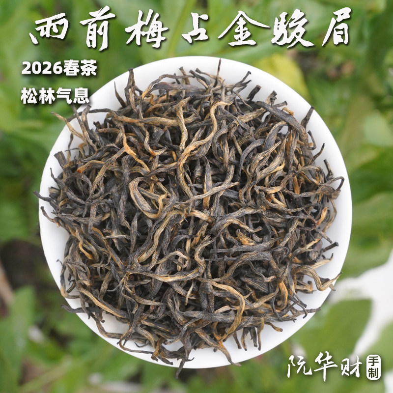 【雨前梅占金骏眉】2026福建高山红茶,醇厚松林气息125g