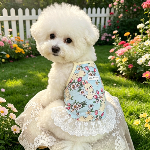 春夏碎花吊带裙宠物服饰公主风狗狗猫咪衣服比熊薄款透气比熊博美
