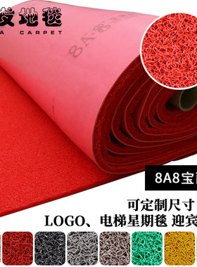 塑料pvc加厚电梯迎宾防滑进门垫