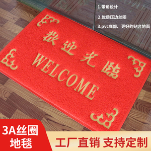 3A出入平安地垫入户门垫进门防滑垫大门口脚垫丝圈耐脏门外地毯
