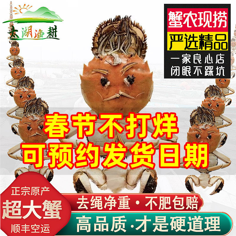 【活蟹净重】高端精品红膏 苏州太湖大闸蟹超大公母螃蟹年货礼盒,水产肉类/新鲜蔬果/熟食,大闸蟹,淘宝优惠券,粉丝福利购,淘宝优惠卷