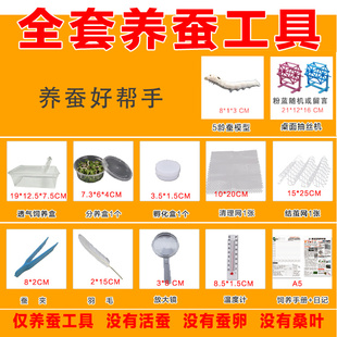蚕宝宝养蚕工具套装清理网结茧网羽毛放大镜蚕夹蚕卵孵化盒饲养盒