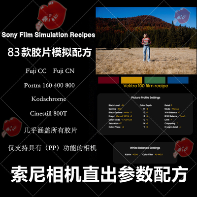 索尼机内预设PP值Sony Film Simulation Recipes配置文件机内直出