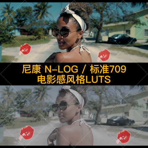 尼康Nikon N-Log电影高品质LUT预设+Rec709 Blockbuster风格LUTs