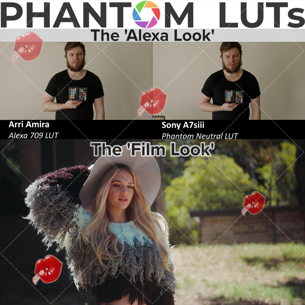 Phantom LUTs ARRI Looks/Film Looks 索