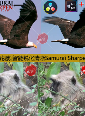 达芬奇DaVinci视频智能锐化清晰增强细节Samurai Sharpen插件M1/2