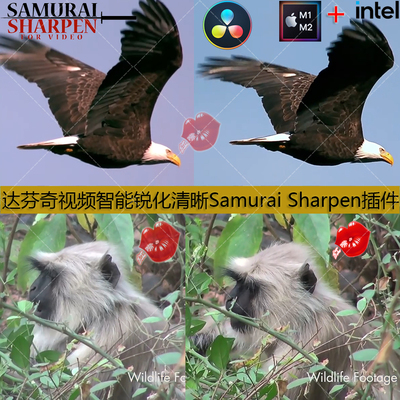 达芬奇DaVinci视频智能锐化清晰增强细节Samurai Sharpen插件M1/2