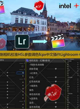 fcpx中文插件 Lr基本控制相机校准HSL参数调色Lightroom Controls