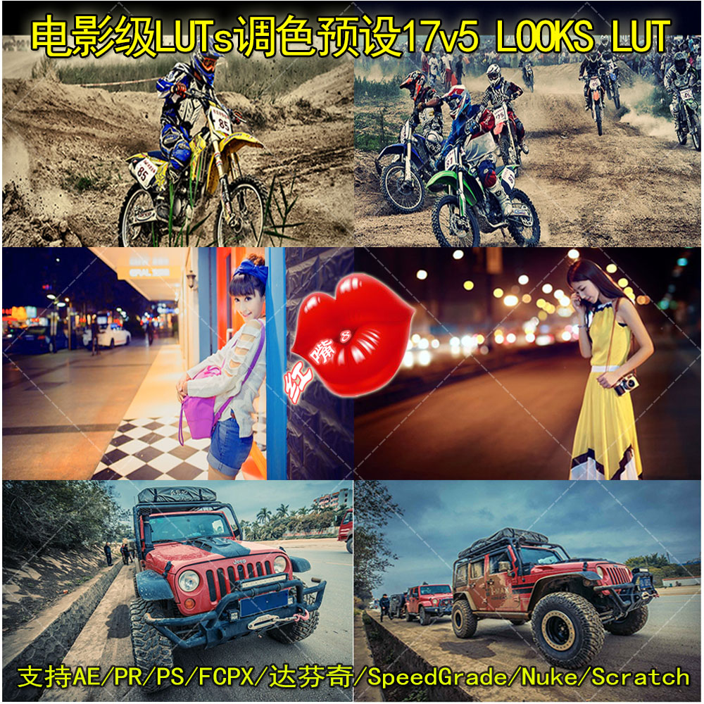 电影级LUTs调色预设17V5LOOKS支持AE/PR/PS/FCPX达芬奇/ED_附教程